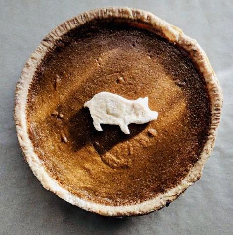 Fresh Pumpkin Pie